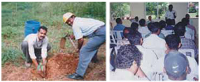 SSCL - Berigai personnel planting saplings, Works M Veluchamy